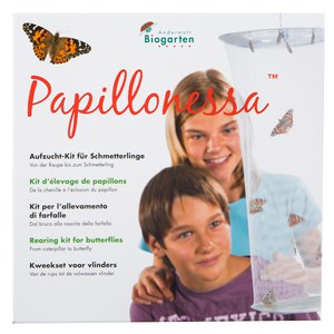   Kit d'éclosion "Papillonessa"  