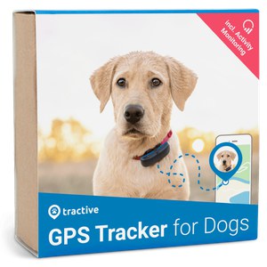   Traqueur GPS Tractive chien  