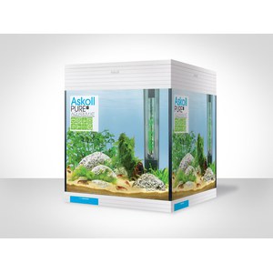   Aquarium Askoll Pure M Blanc Blanc 36x36x43.50cm