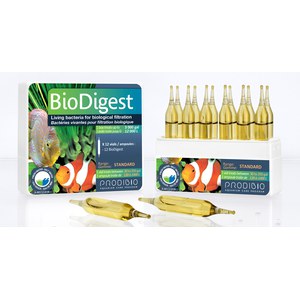   BioDigest 12 ampoules  