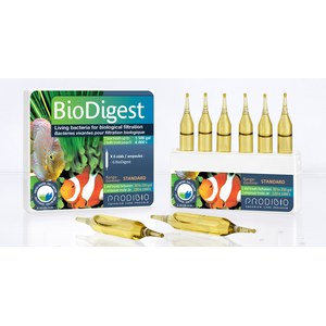 Prodibio  BioDigest 6 ampoules  