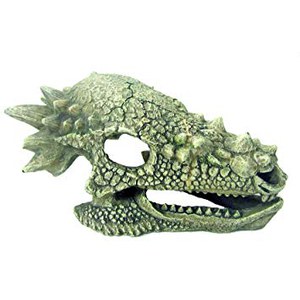   Décoration pour Aquarium  crâne Dragon  