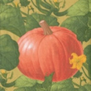 Caspari  Serviettes Pumpkin patch Jaune or 33x33cm