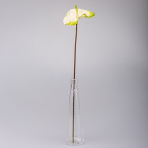   Anthurium Blanc 55cm