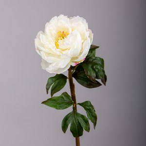   Pivoine 1 fleur ouverte Blanc 74cm