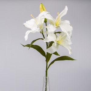   Lys Casablanca 3 fleurs Blanc 70cm