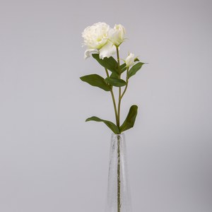   Lisianthus 1 fleur 2 boutons Blanc 56cm