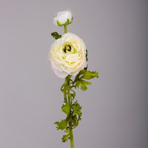   Renoncule 1 fleur 1 bouton Blanc 64cm