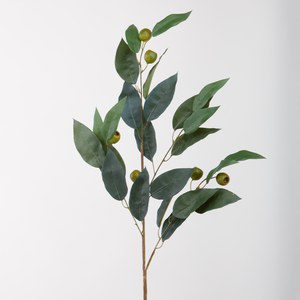 Schilliger Sélection  Eucalyptus en branche  96cm