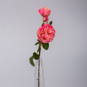   Rose de jardin avec boutons RT Rouge rose thé 51cm