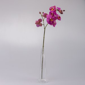   Phalaenopsis ramifié 8 fleurs avec boutons Rouge fuchsia 79cm