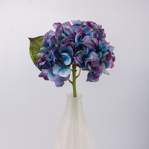   Hortensia avec feuilles RT Bleu indigo 48cm