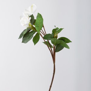 Schilliger Sélection  Gardenia en branche Blanc 81cm
