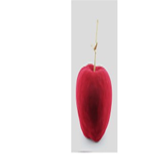 Schilliger Sélection  Pomme floquée avec oiseau  29.3x29.3x26.5cm