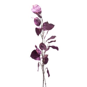 Schilliger Sélection  Lunaria velvet Violet 105cm
