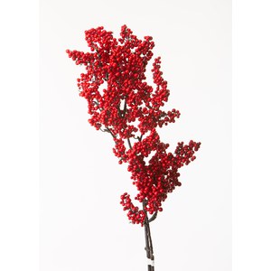 Schilliger Sélection  Baies rouge en branche Rouge cerise 75cm