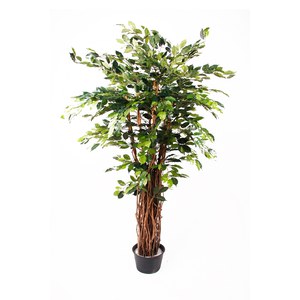 Schilliger Sélection  Ficus benjamina Liana artificiel  175cm