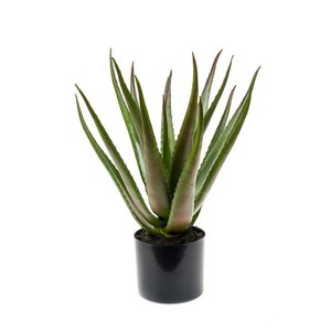 Schilliger Sélection  Aloe vera artificiel  50cm