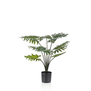 Schilliger Sélection  Philodendron artificiel  60cm