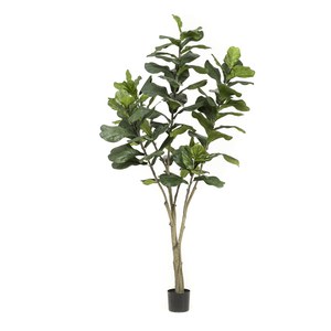 Schilliger Sélection  Ficus Lyrata artificiel  210cm