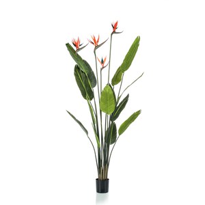 Schilliger Sélection  Strelitzia avec fleurs artificiel  150cm