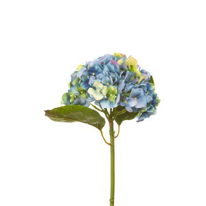 Schilliger Sélection  Hortensia Holland séché avec feuilles artificiel Bleu d'Anvers 45.5cm