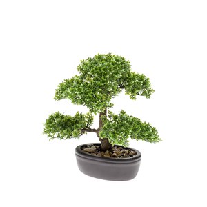 Schilliger Sélection  Bonsai Ficus artificiel coupe ovale brune  32cm