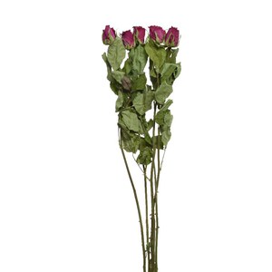 Schilliger Sélection  Bouquet Roses séchées  50cm