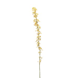 Schilliger Sélection  Petites fleurs en branche artificielle  105cm