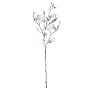 Schilliger Sélection  Magnolia enneigé en branche Blanc 101cm