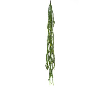 Schilliger Sélection  Epiphyllum retombant artificiel  120cm