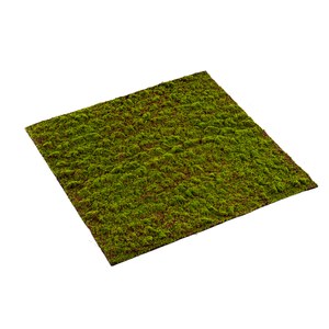 Schilliger Sélection  Mousse Grimmia en plaque artificielle  100x100cm