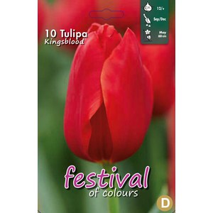   Tulipes 'Kingsblood'  10 pcs 12/+