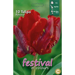   Tulipes 'Rococo'  10 pcs 12/+