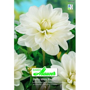   Dahlia Nen White Bouquet  