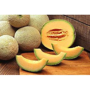 Schilliger Production  Melon brodé 'Fiesta'  Pot de 10.5 cm