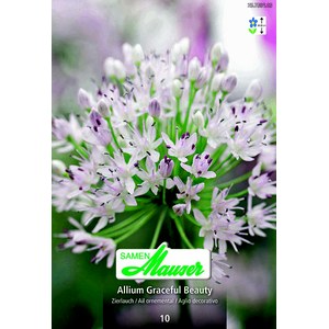   Allium ampl. Graceful Beauty 10  6/