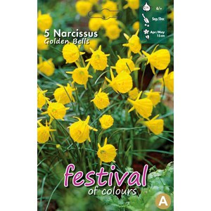   Narcisses 'Golden Bells'  5 pièces