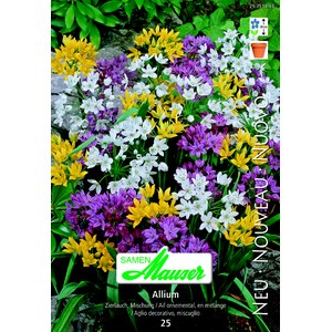   Allium nain mélange 25  5/