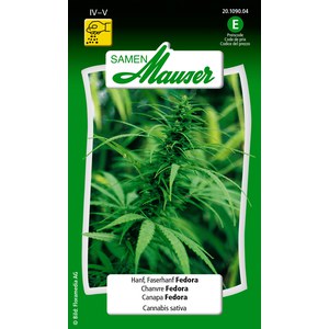   Cannabis sativa (chanvre)  