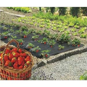 Nortene  FRESAFILM Film de paillage Spécial fraises 40 microns  1.40x10m