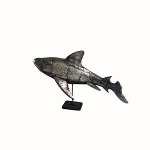   Requin Neogard XXL  200cm