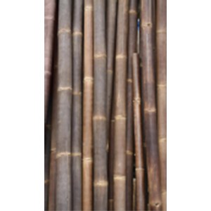 Schilliger Sélection  Bambou Brun 8  200 x8x8cm