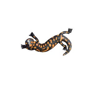 Schilliger Sélection  Salamandre  16cm