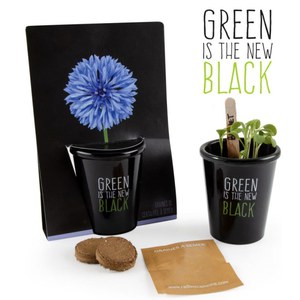   Pot black  Green is the new black - Bleuet  16.5x6x12cm