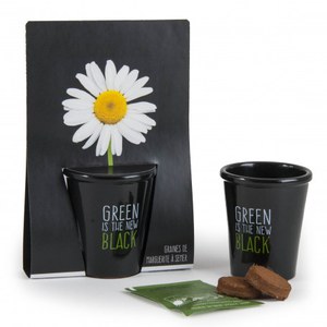   Pot black  Green is the new black - Pâquerette  16.5x6x12cm