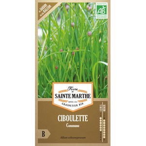 Ferme de Sainte Marthe  Ciboulette Commune  Environ 500 Graines
