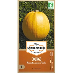Ferme de Sainte Marthe  Courge Melonnette Jaspée De Vendée  Environ 15 Graines