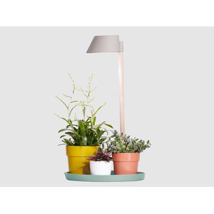 Elho  plant light care  25.4x44.4cm