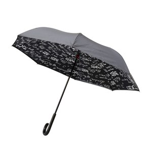   Parapluie Paris  